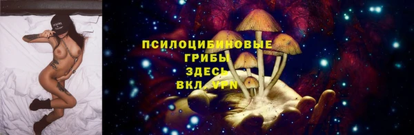 гашик Баксан