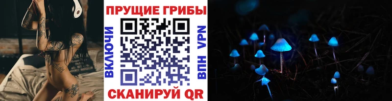hydra   Ишим  Галлюциногенные грибы Cubensis  где найти  