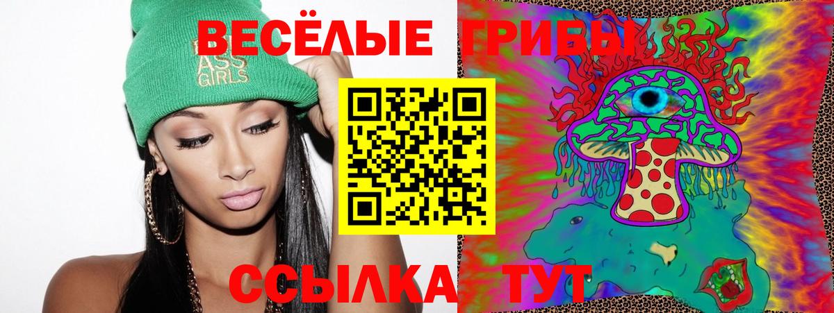 Галлюциногенные грибы мухоморы Ишим