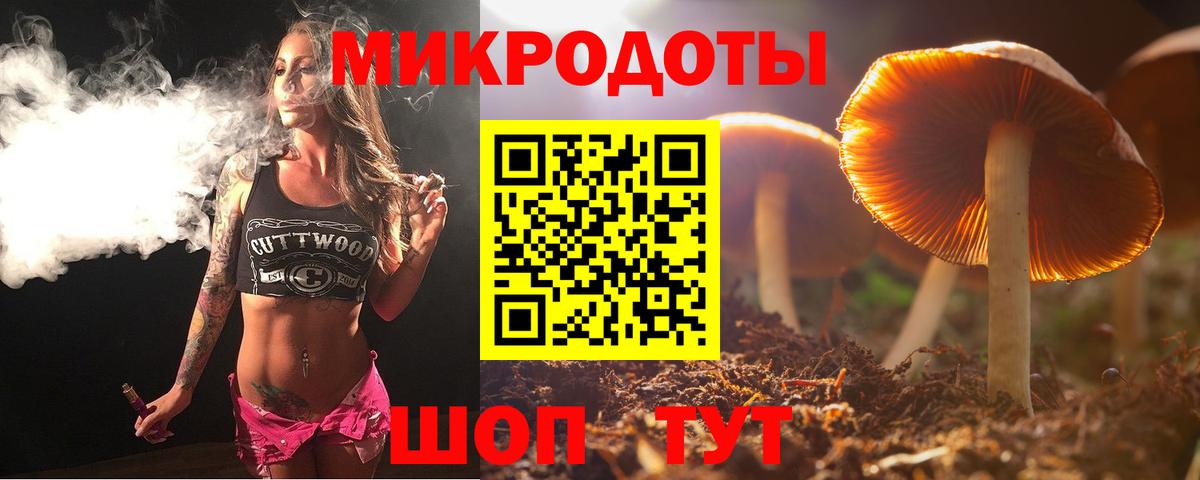 Псилоцибиновые грибы Psilocybe  Псилоцибиновые грибы Cubensis  Вход с VPN  Ишим 